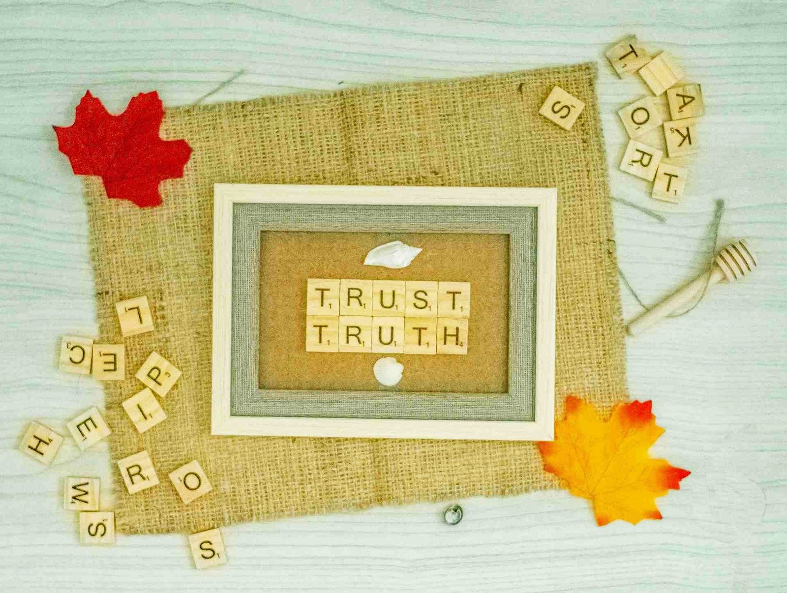 wisewillandtrusts